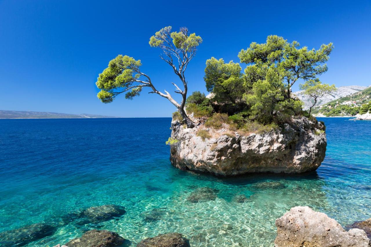 City Gem Omis Luaran gambar